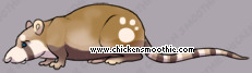 Pet