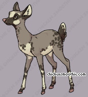 Pet