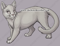 Pet