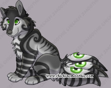 Pet