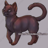 Pet