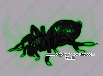 Pet
