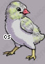 Pet