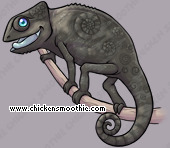 Pet