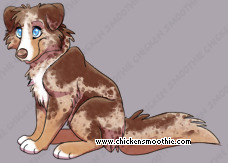 Pet