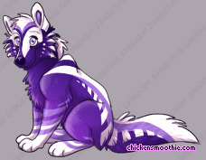 Pet