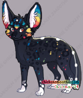 Pet