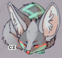 Pet