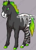 Pet