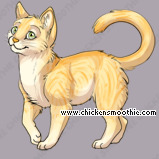 Pet