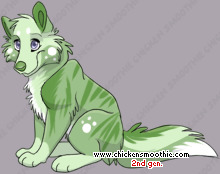 Pet