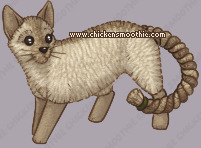 Pet