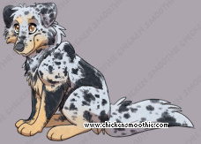Pet