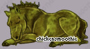 Pet