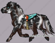 Pet