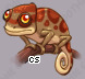Pet