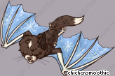 Pet