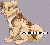 Pet