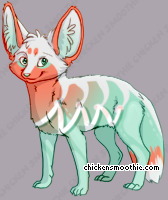 Pet
