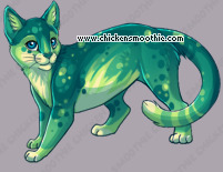 Pet