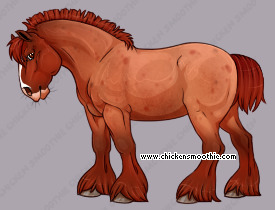 Pet