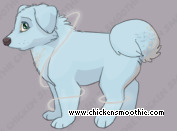 Pet