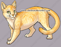 Pet