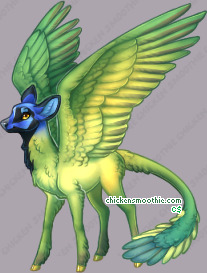 Pet