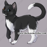Pet