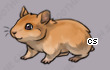 Pet
