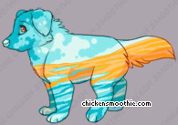 Pet