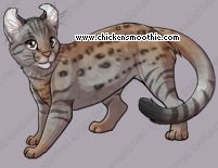 Pet