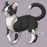 Pet