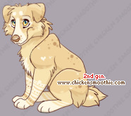 Pet