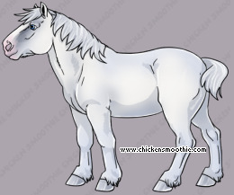 Pet