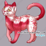 Pet