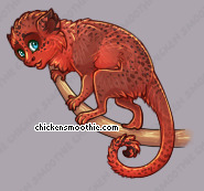 Pet
