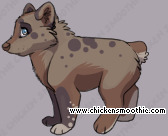 Pet