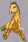 Pet