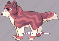 Pet
