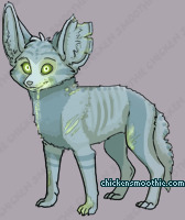 Pet
