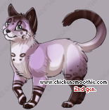 Pet