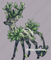 Pet