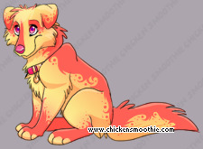 Pet