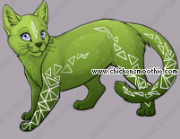 Pet
