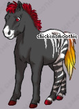 Pet