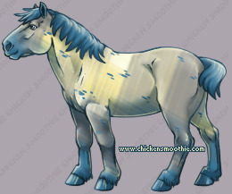 Pet