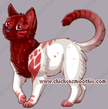 Pet