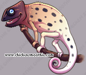 Pet