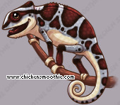 Pet